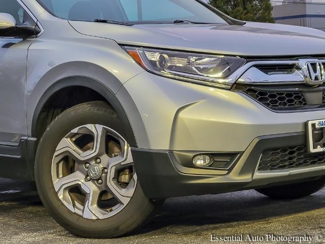 2019 Honda CRV Vehicle Photo in OAK LAWN, IL 60453-2517