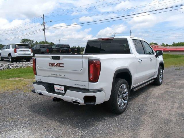 2024 GMC Sierra 1500 Vehicle Photo in ALBERTVILLE, AL 35950-0246