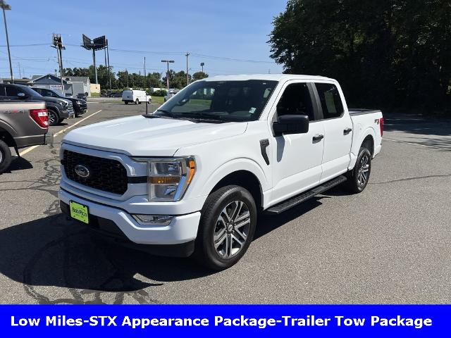 2021 Ford F-150 Vehicle Photo in CHICOPEE, MA 01020-5001