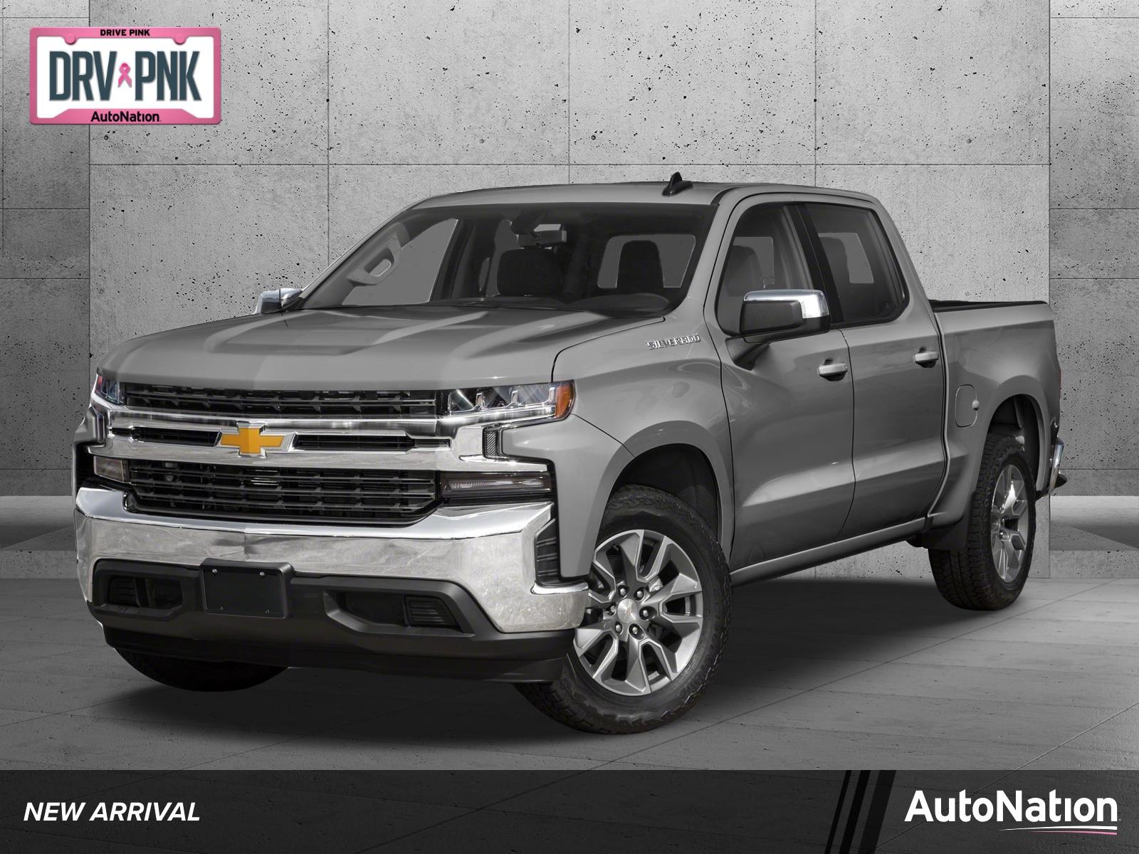 2019 Chevrolet Silverado 1500 Vehicle Photo in MEMPHIS, TN 38115-1503