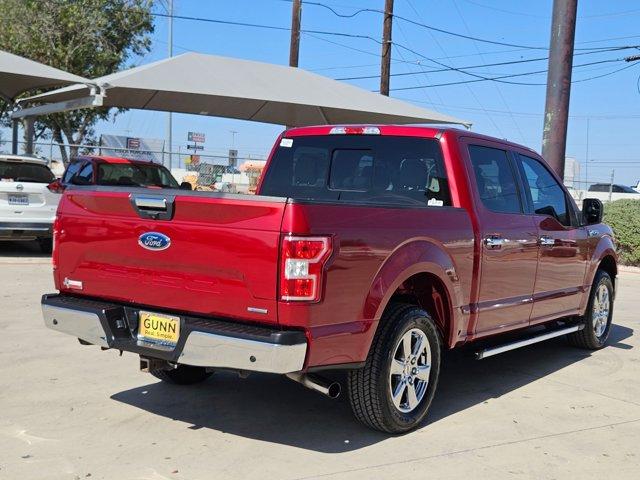 2019 Ford F-150 Vehicle Photo in SELMA, TX 78154-1459