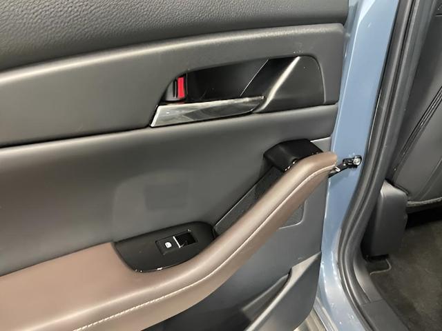 2021 Mazda CX-30 Vehicle Photo in Green Bay, WI 54304