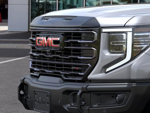 2023 GMC Sierra 1500 Vehicle Photo in SELMA, TX 78154-1459