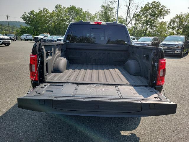 2022 Ford F-150 Vehicle Photo in Boyertown, PA 19512