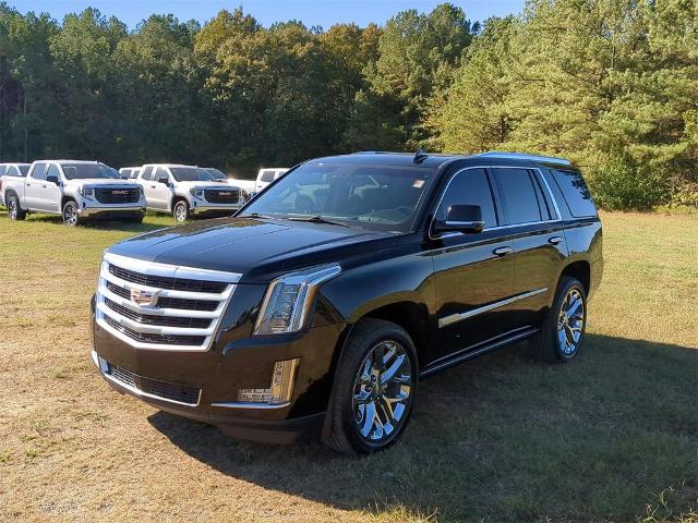 2019 Cadillac Escalade Vehicle Photo in ALBERTVILLE, AL 35950-0246