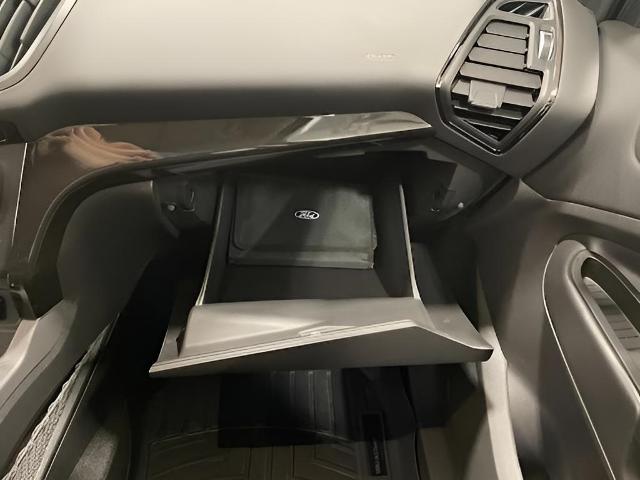 2017 Ford Escape Vehicle Photo in Green Bay, WI 54304