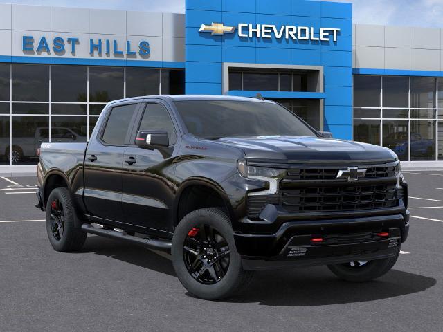 2025 Chevrolet Silverado 1500 Vehicle Photo in FREEPORT, NY 11520-3923