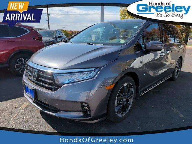 2023 Honda Odyssey Vehicle Photo in Greeley, CO 80634-8763