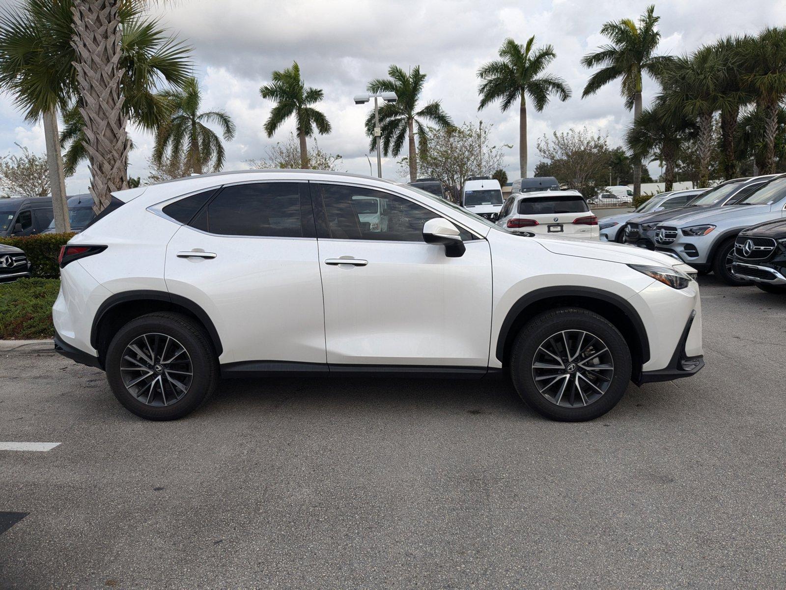 2024 Lexus NX 250 Vehicle Photo in Miami, FL 33169