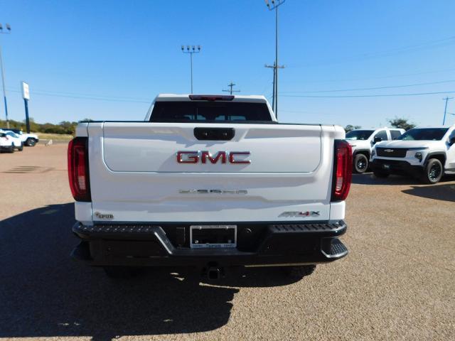 2025 GMC Sierra 1500 Vehicle Photo in GATESVILLE, TX 76528-2745