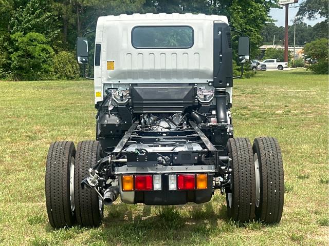 2024 Chevrolet Low Cab Forward 4500 Vehicle Photo in DUNN, NC 28334-8900