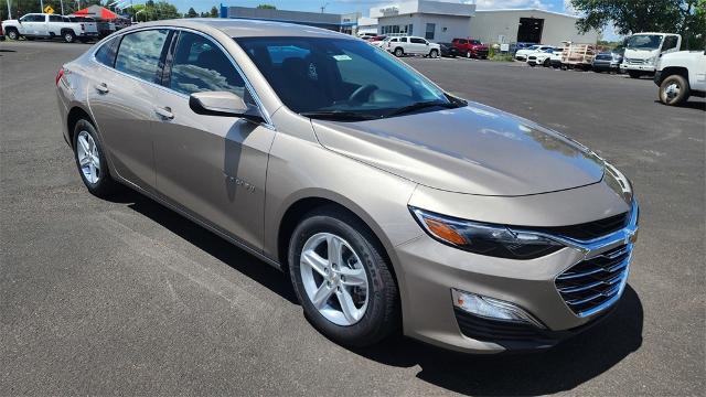 2024 Chevrolet Malibu Vehicle Photo in FLAGSTAFF, AZ 86001-6214