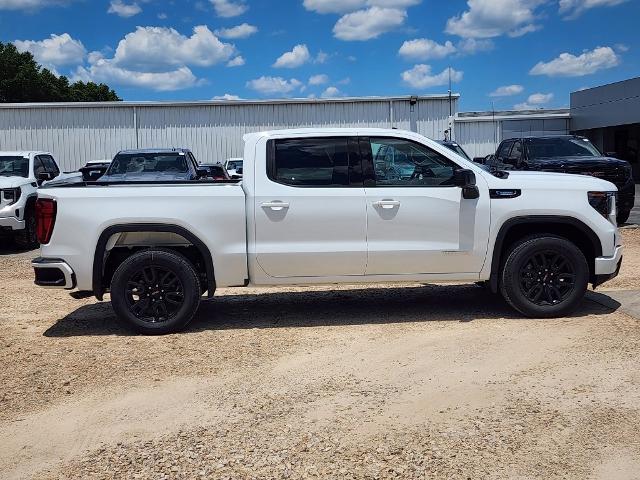 2024 GMC Sierra 1500 Vehicle Photo in PARIS, TX 75460-2116