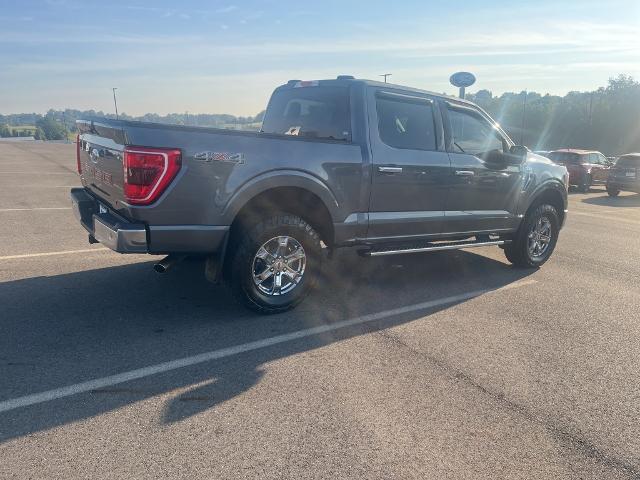 2023 Ford F-150 Vehicle Photo in Jackson, OH 45640-9766