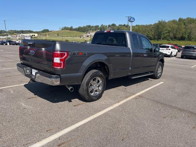 2020 Ford F-150 Vehicle Photo in Jackson, OH 45640-9766