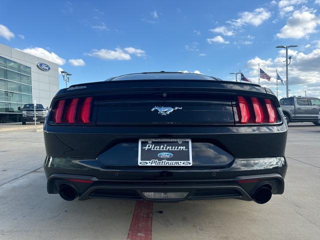 2019 Ford Mustang Vehicle Photo in Terrell, TX 75160