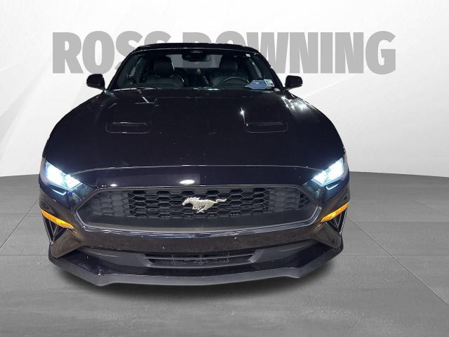 Used 2023 Ford Mustang EcoBoost Premium with VIN 1FA6P8TH1P5101962 for sale in Gonzales, LA