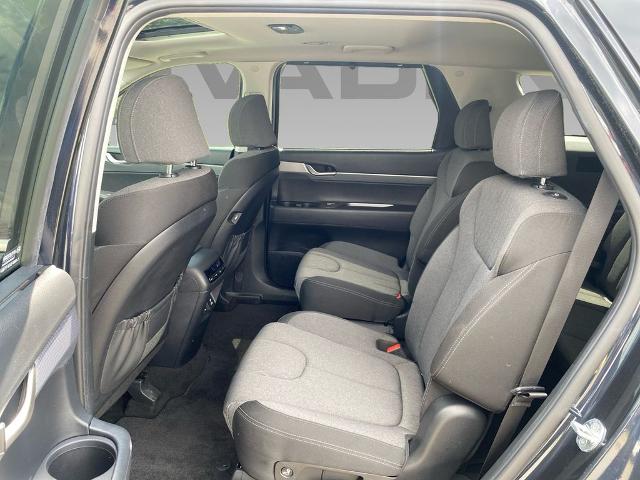 2021 Hyundai PALISADE Vehicle Photo in Statesboro, GA 30458