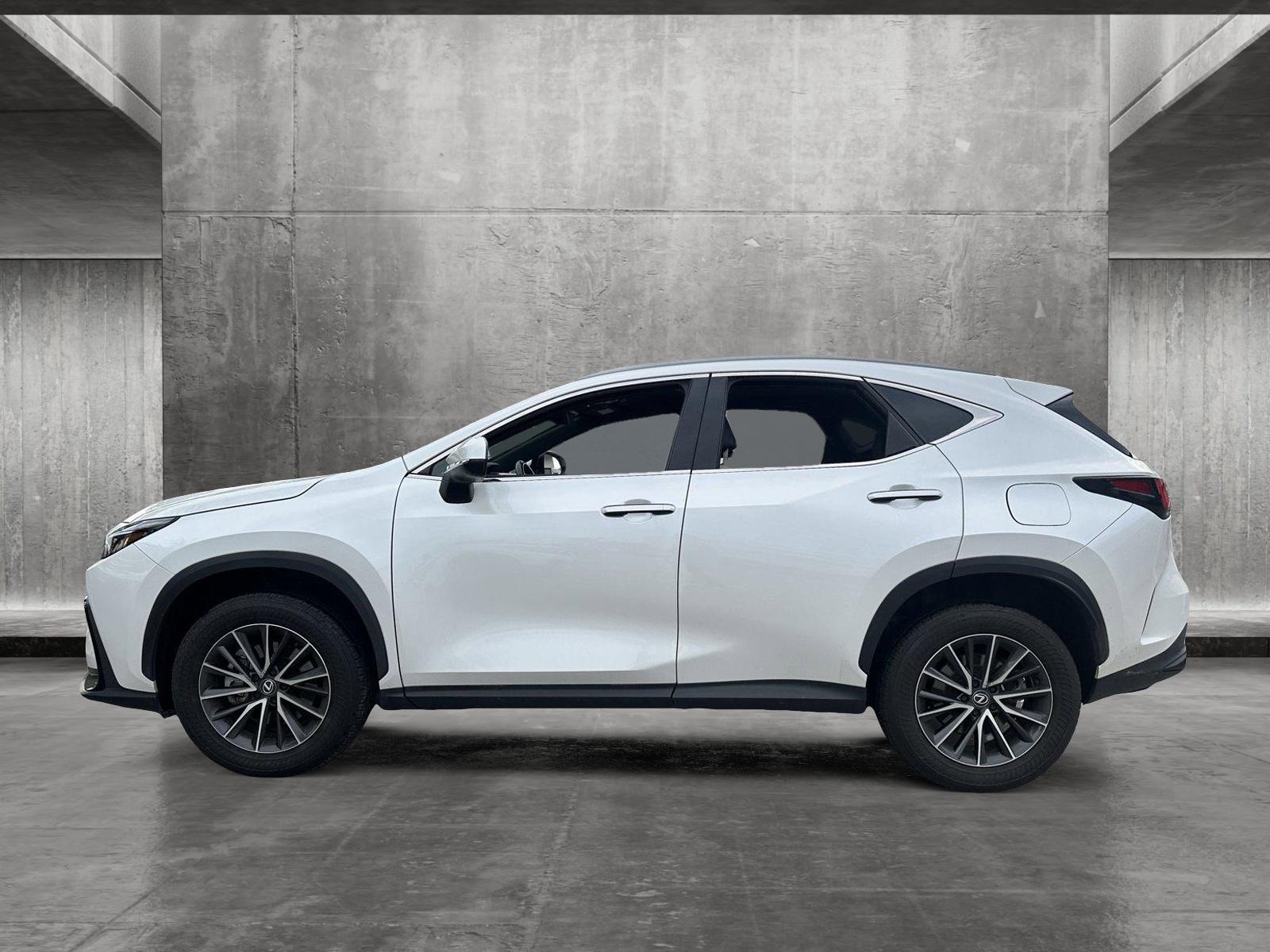 2024 Lexus NX 250 Vehicle Photo in Hollywood, FL 33021