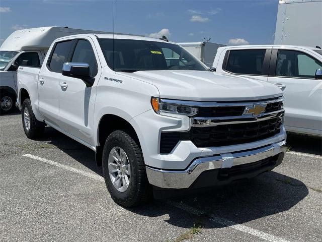 2024 Chevrolet Silverado 1500 Vehicle Photo in ALCOA, TN 37701-3235