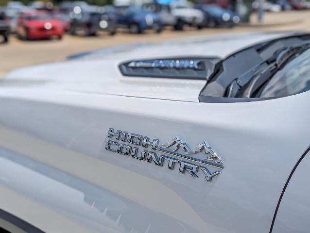 2024 Chevrolet Silverado 2500 HD Vehicle Photo in POMEROY, OH 45769-1023