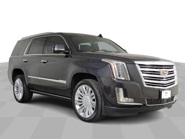 2019 Cadillac Escalade Vehicle Photo in JOLIET, IL 60435-8135