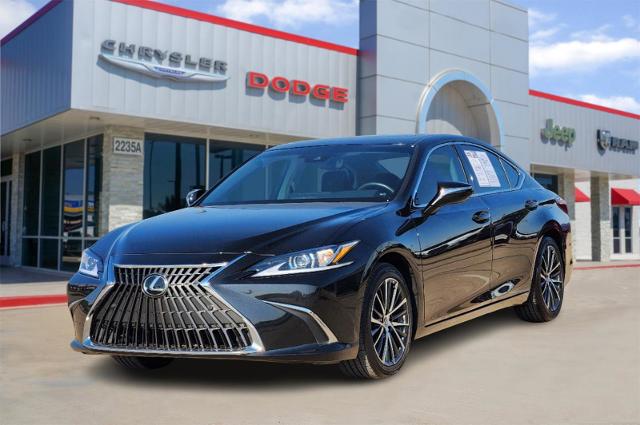 2022 Lexus ES 350 Vehicle Photo in Cleburne, TX 76033