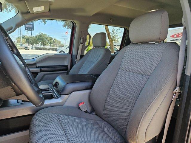 2019 Ford F-150 Vehicle Photo in SELMA, TX 78154-1459