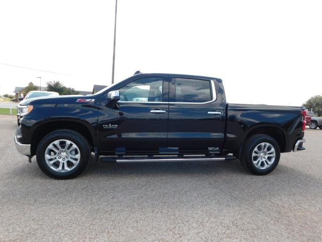 2025 Chevrolet Silverado 1500 Vehicle Photo in Weatherford, TX 76087