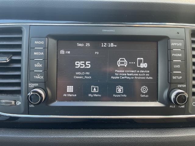 2017 Kia Sedona Vehicle Photo in Peoria, IL 61615