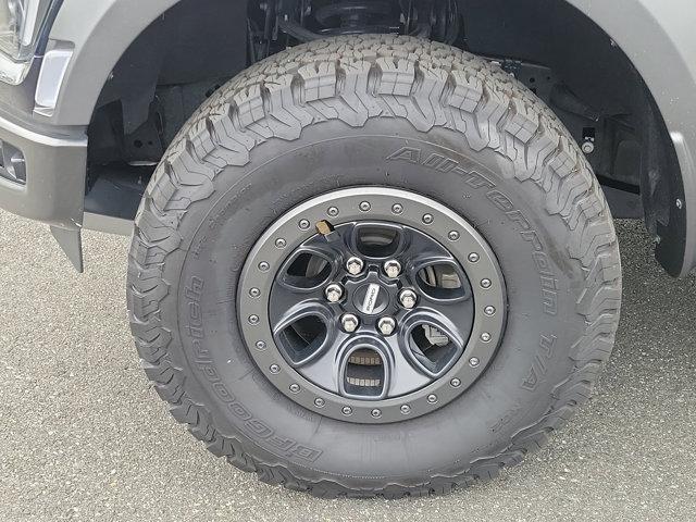 2023 Ford F-150 Vehicle Photo in Boyertown, PA 19512