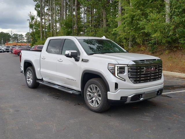 2025 GMC Sierra 1500 Vehicle Photo in ALBERTVILLE, AL 35950-0246