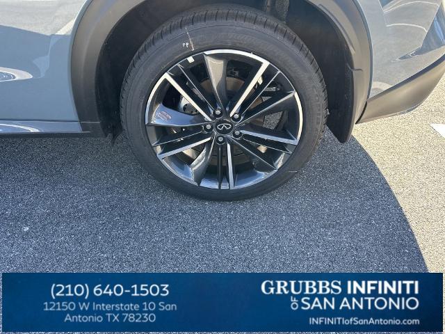 2024 INFINITI QX50 Vehicle Photo in San Antonio, TX 78230