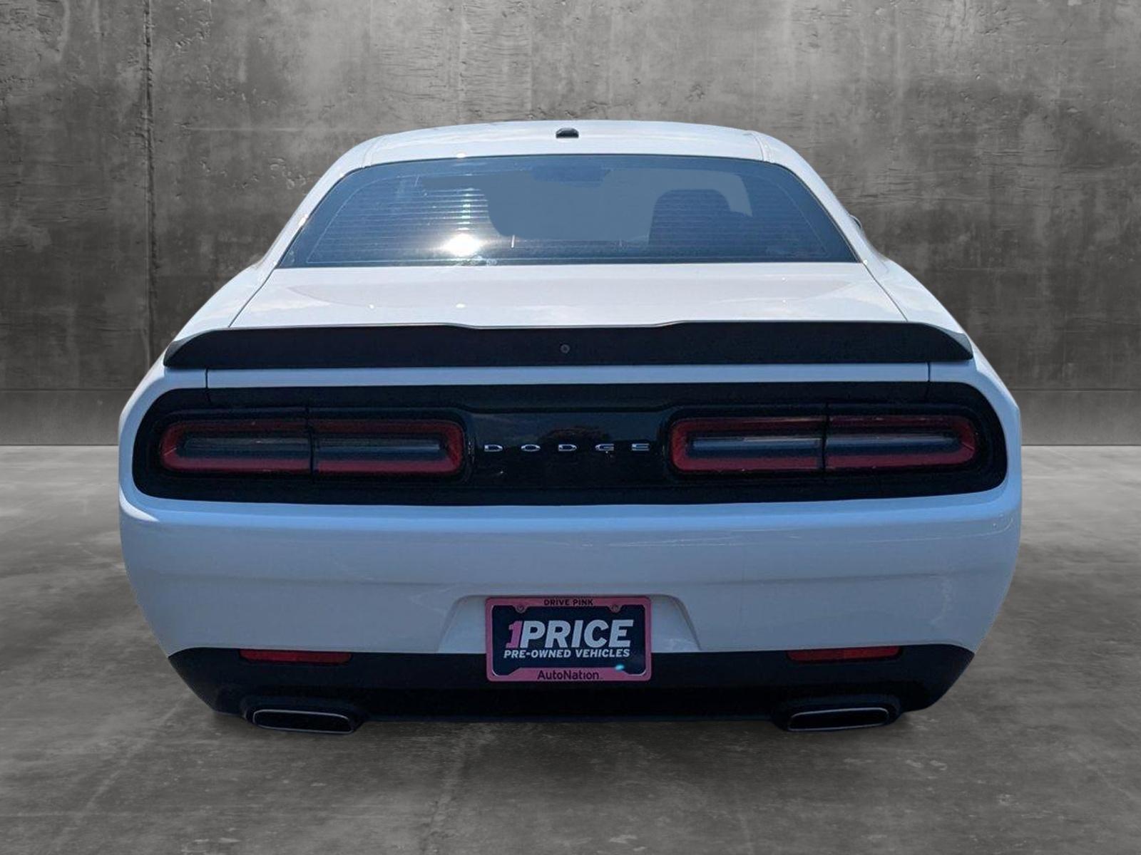 2019 Dodge Challenger Vehicle Photo in Panama City, FL 32401