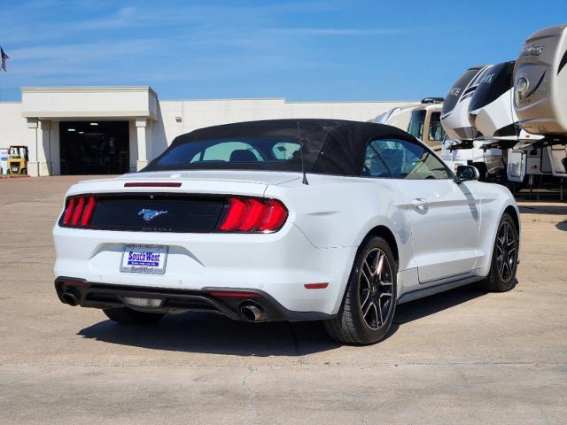 2019 Ford Mustang Vehicle Photo in Cleburne, TX 76033