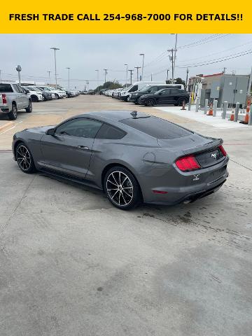 2022 Ford Mustang Vehicle Photo in STEPHENVILLE, TX 76401-3713