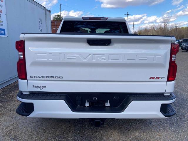 2024 Chevrolet Silverado 1500 Vehicle Photo in DUNN, NC 28334-8900