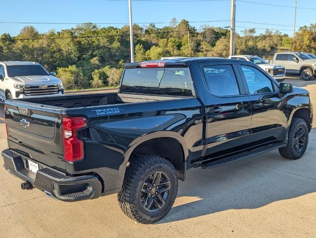 2024 Chevrolet Silverado 1500 Vehicle Photo in POMEROY, OH 45769-1023