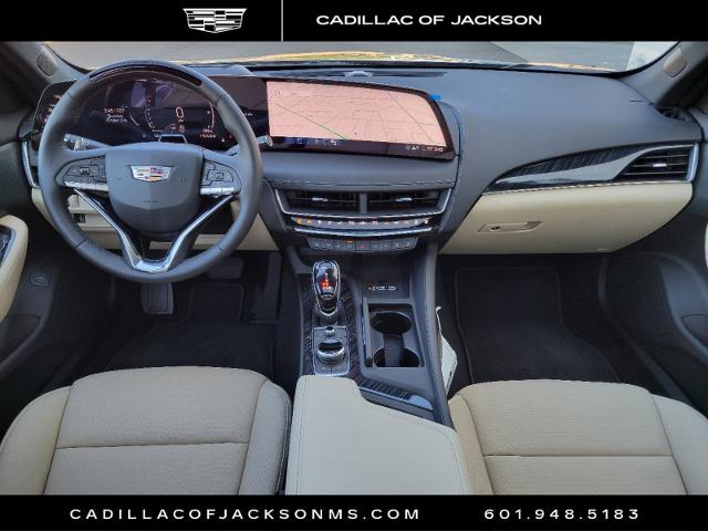 2025 Cadillac CT5 Vehicle Photo in RIDGELAND, MS 39157-4406