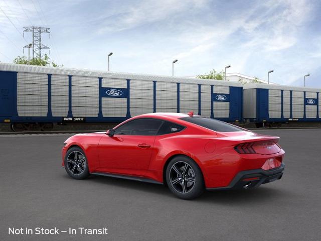 2024 Ford Mustang Vehicle Photo in Weatherford, TX 76087