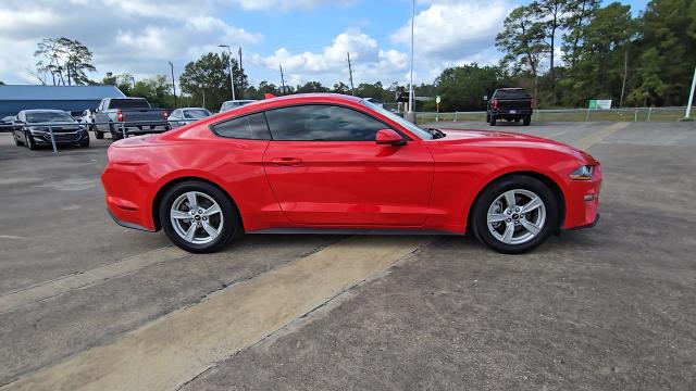 2022 Ford Mustang Vehicle Photo in CROSBY, TX 77532-9157