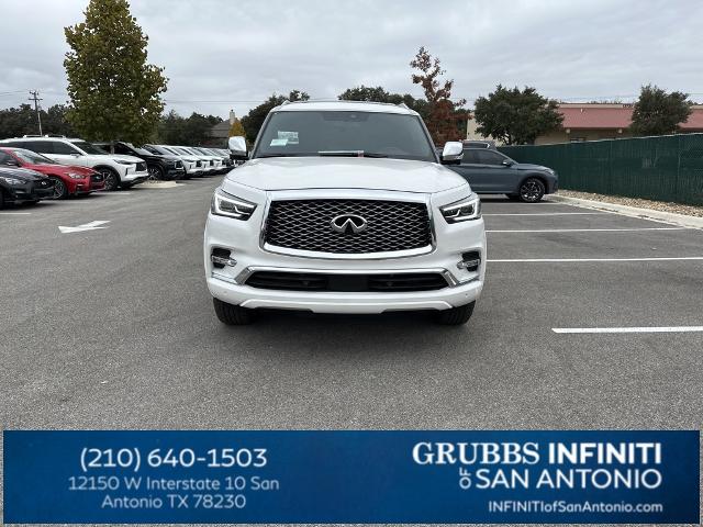 2024 INFINITI QX80 Vehicle Photo in San Antonio, TX 78230