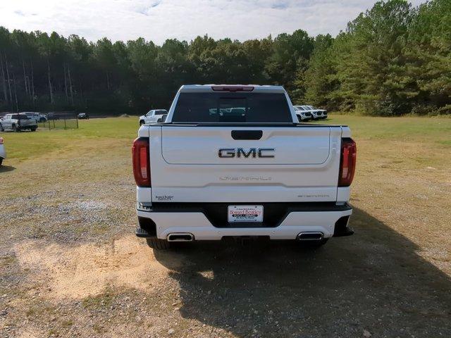 2025 GMC Sierra 1500 Vehicle Photo in ALBERTVILLE, AL 35950-0246