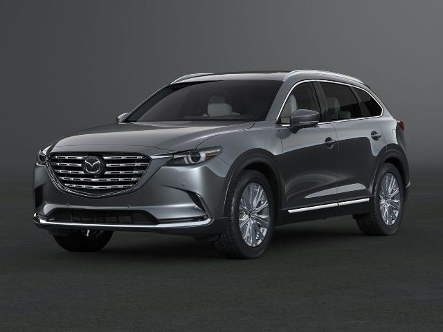 2021 Mazda CX-9 Vehicle Photo in Danville, KY 40422