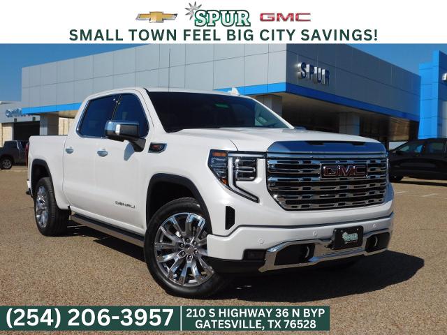 2025 GMC Sierra 1500 Vehicle Photo in GATESVILLE, TX 76528-2745