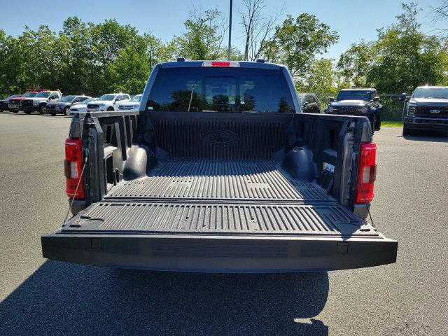 2021 Ford F-150 Vehicle Photo in Boyertown, PA 19512