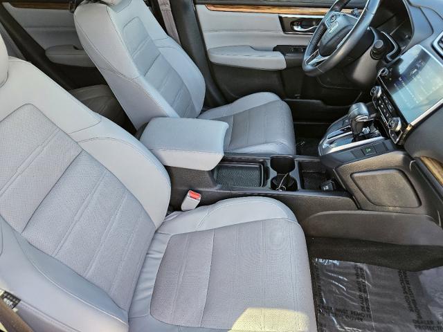 2019 Honda CR-V Vehicle Photo in Terrell, TX 75160