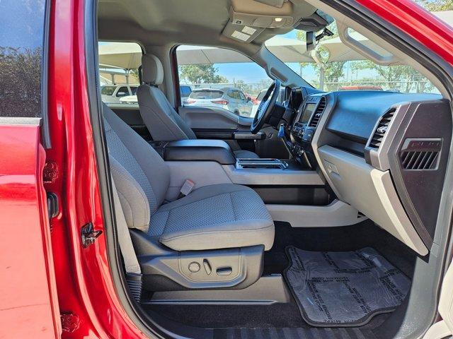 2019 Ford F-150 Vehicle Photo in SELMA, TX 78154-1459