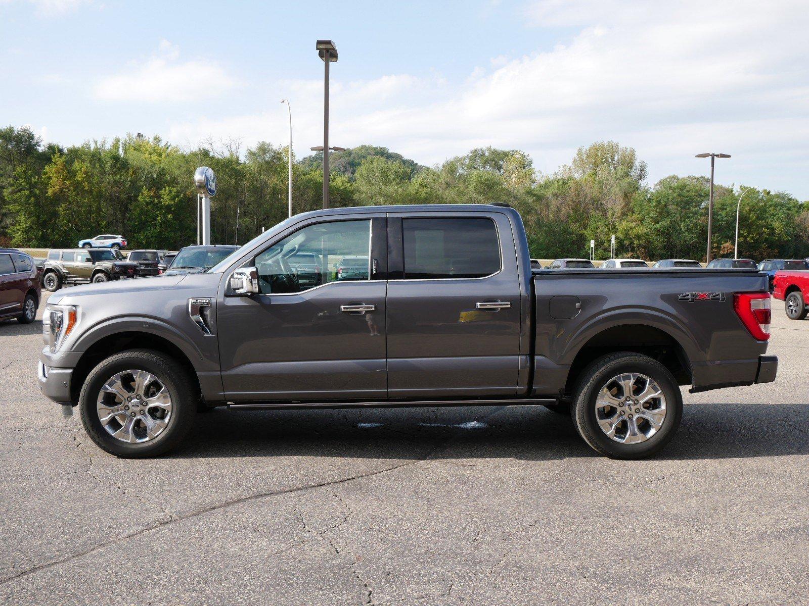 2023 Ford F-150 Vehicle Photo in Red Wing, MN 55066-1473