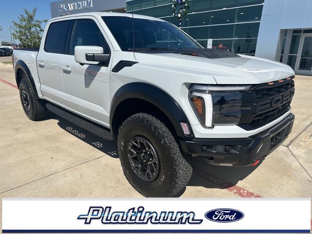 2024 Ford F-150 Vehicle Photo in Terrell, TX 75160